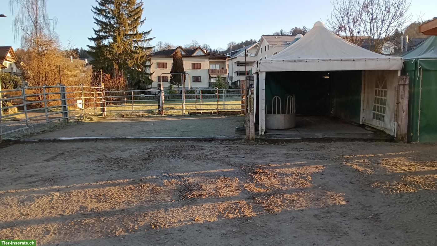 Bild 3: Gruppenstall Offenstall für 2-3 Pferde in Unterlunkhofen AG