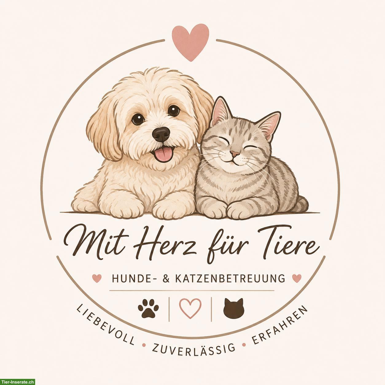 Kleinhundebetreuung und Katzenbetreuung mit Herz