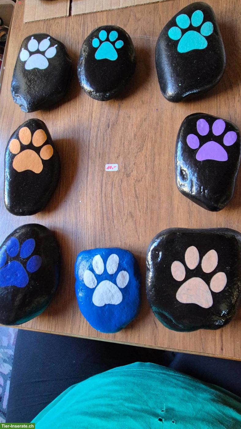 Steine mit den Pfoten von Katzen und Hunde