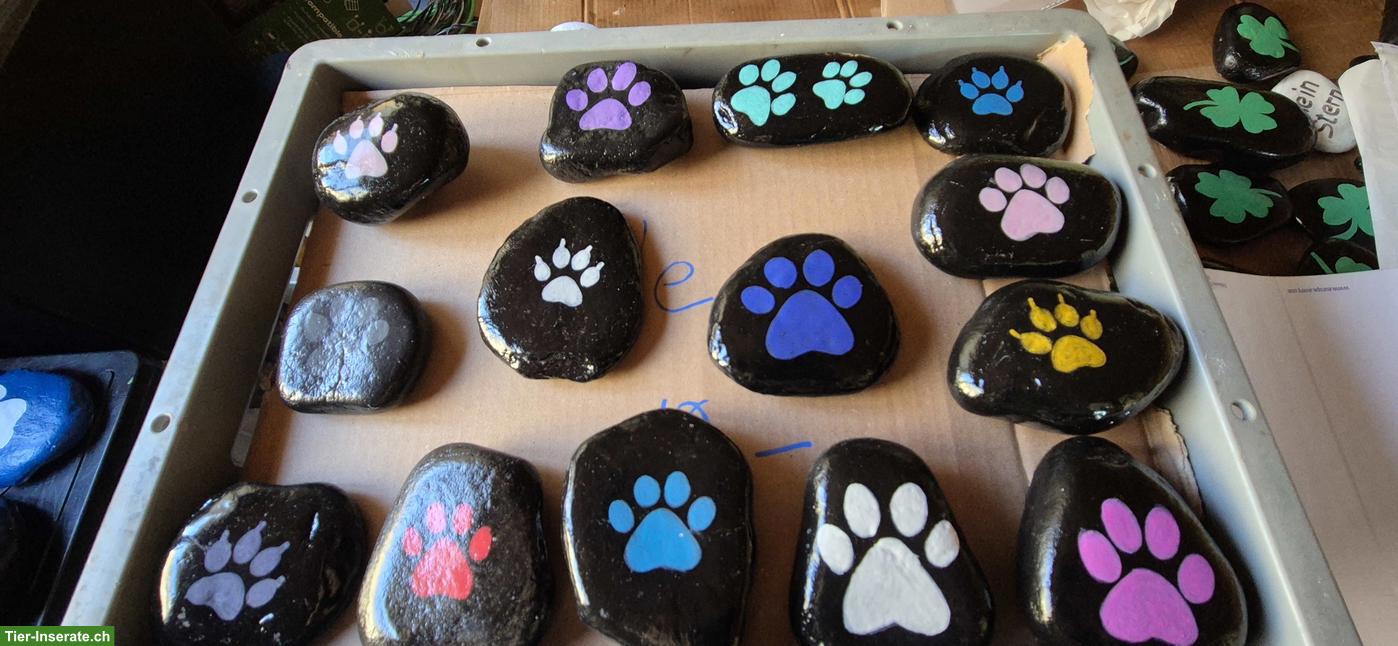 Bild 2: Steine mit den Pfoten von Katzen und Hunde