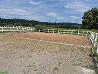 2-3 Plätze in Offenstall zu vermieten in Andelfingen