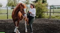 Reitunterricht in AG, LU, ZG & ZH 🧡