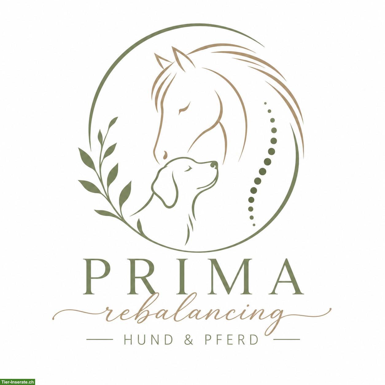 Verhaltensanalyse - PRIMA-REBALANCING - Hunde