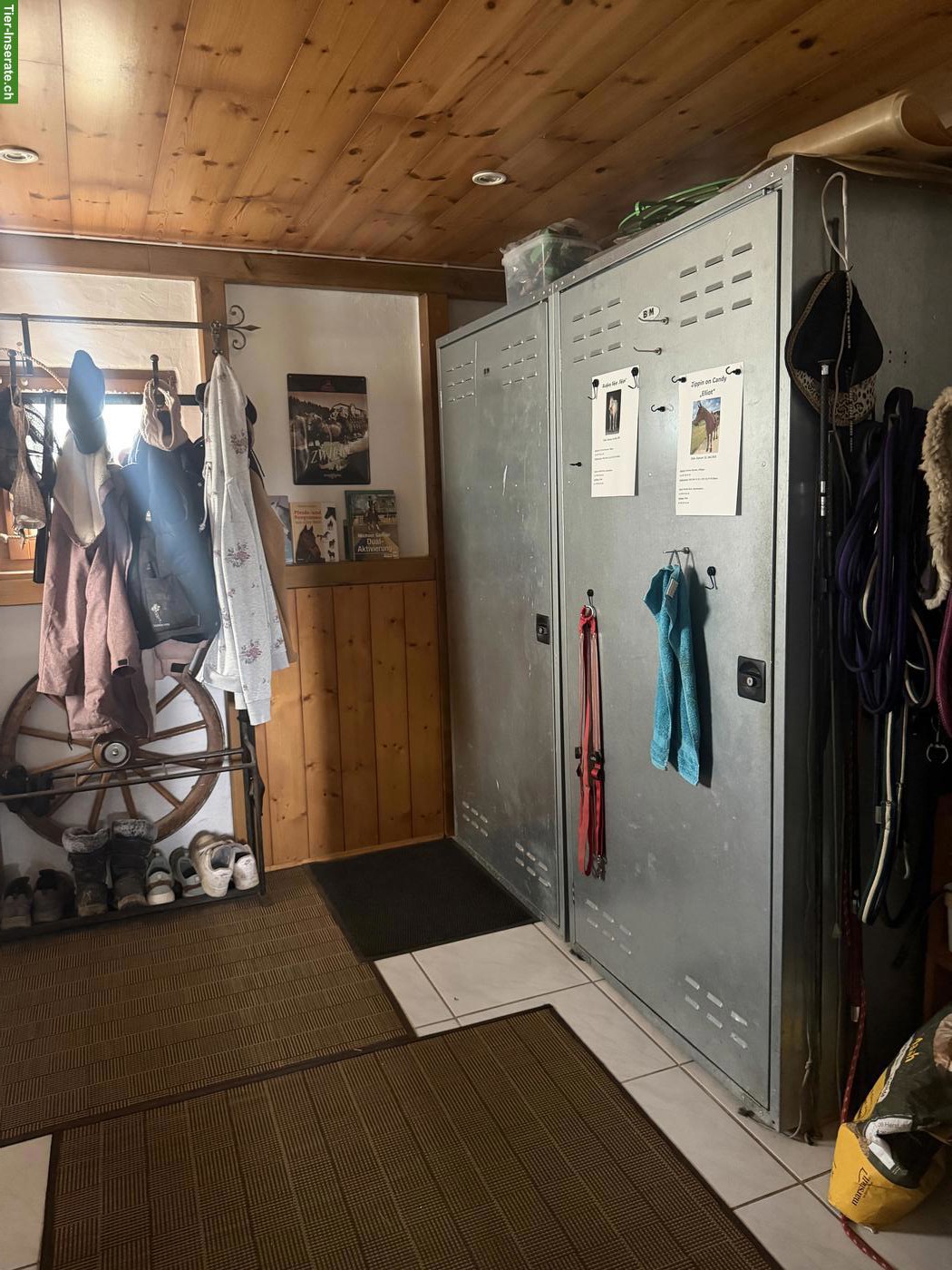 Bild 4: Vermieten Pferdeboxe mit 24/7 Auslauf & Weide im Aargau
