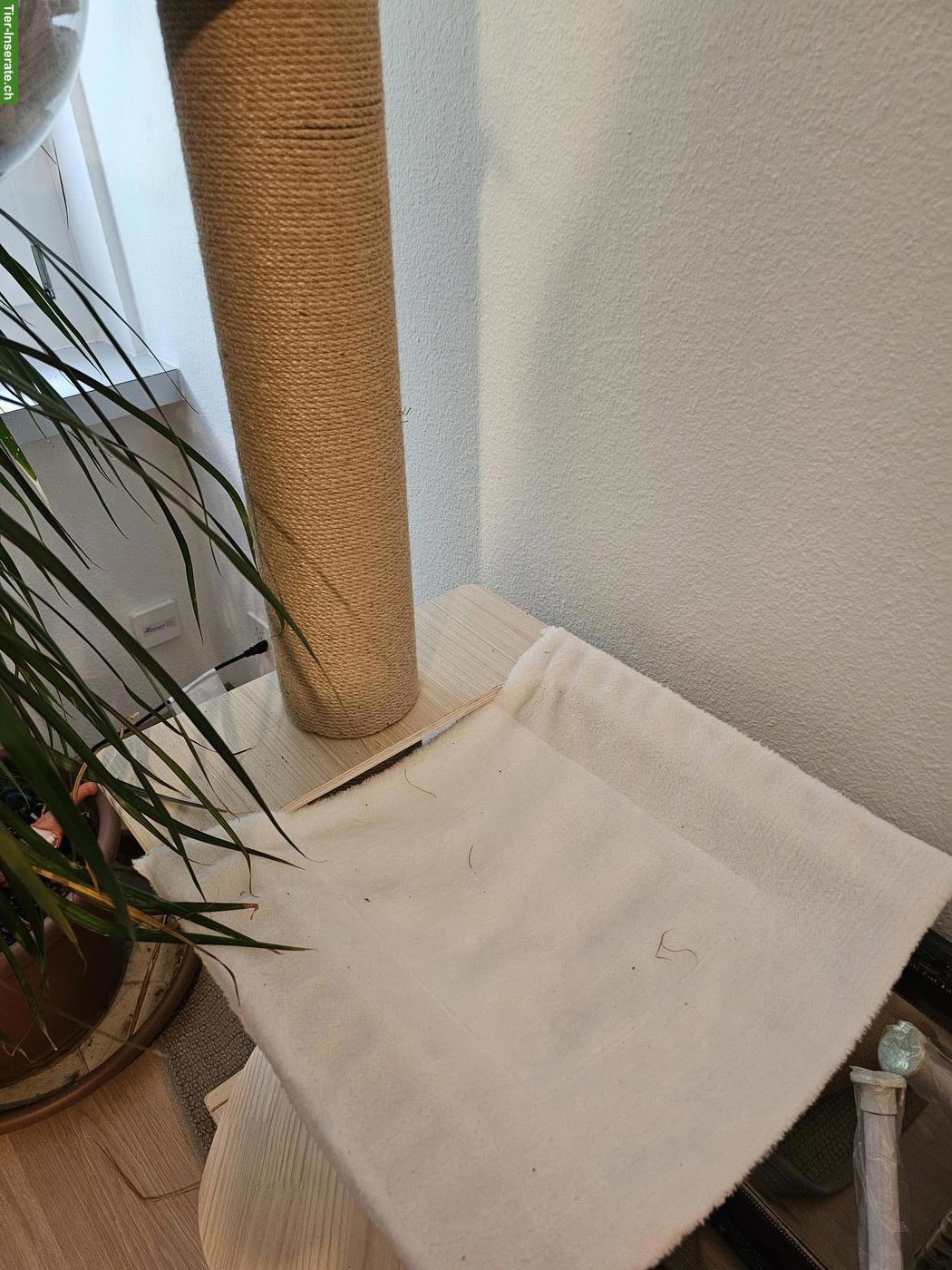 Bild 2: Freistehender Katzenbaum, wie NEU!