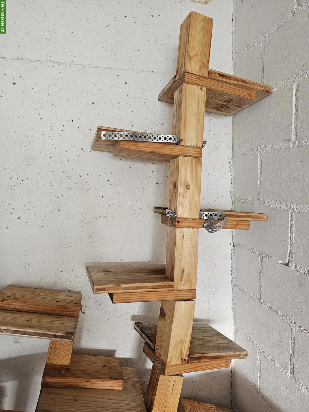 Holz für Katzenleiter / Katzentreppe aussen