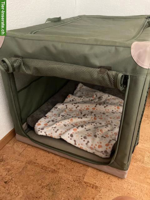 Faltbare Hunde-Transportbox aus Nylon zu verkaufen