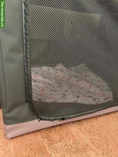 Bild 2: Faltbare Hunde-Transportbox aus Nylon zu verkaufen