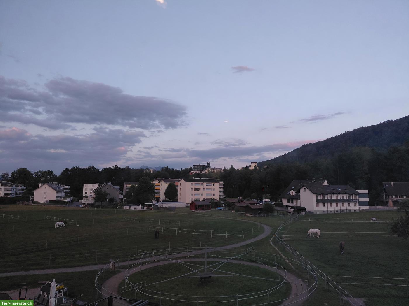 Bild 9: Grosse Auslaufbox zu vermieten in Luzern/Littau