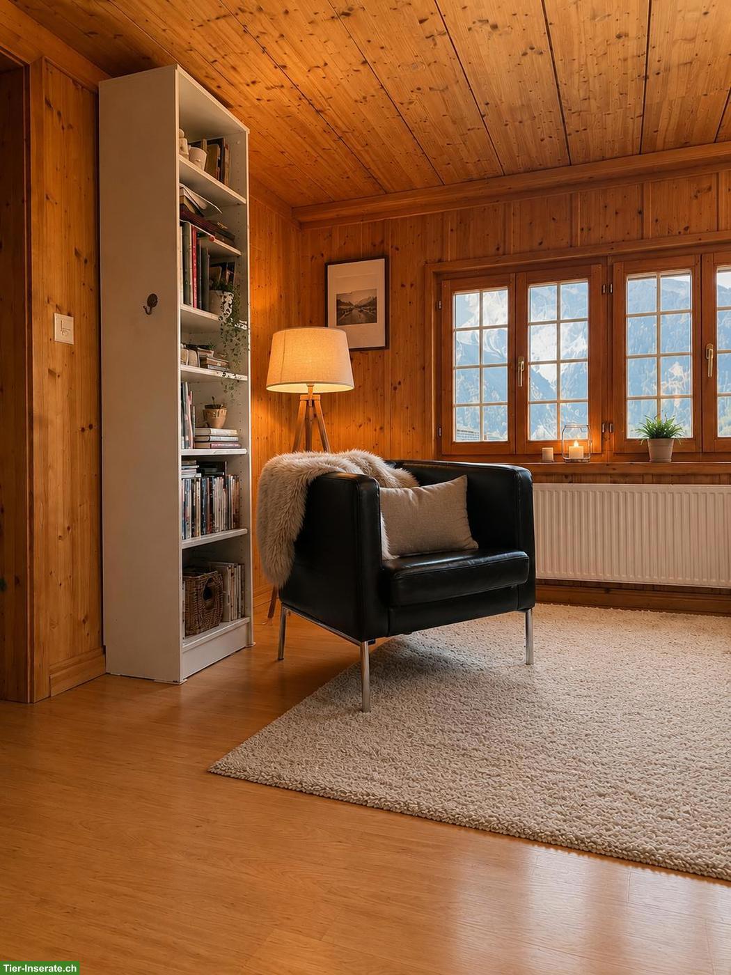 Bild 6: Pferdeliegenschaft mit Wohnhaus & Baulandreserve in Hofstetten BE