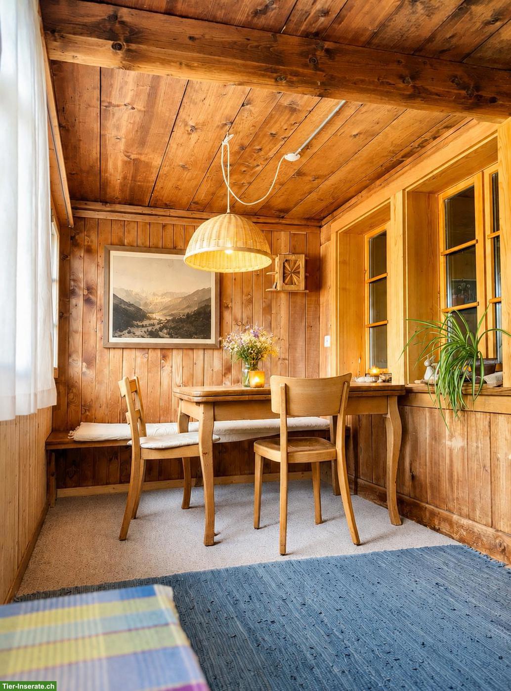 Bild 8: Pferdeliegenschaft mit Wohnhaus & Baulandreserve in Hofstetten BE