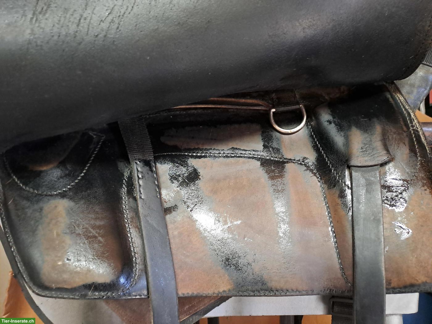Bild 3: Bent Branderup La Selle, Springsattel, Longier- & Voltigiergurt