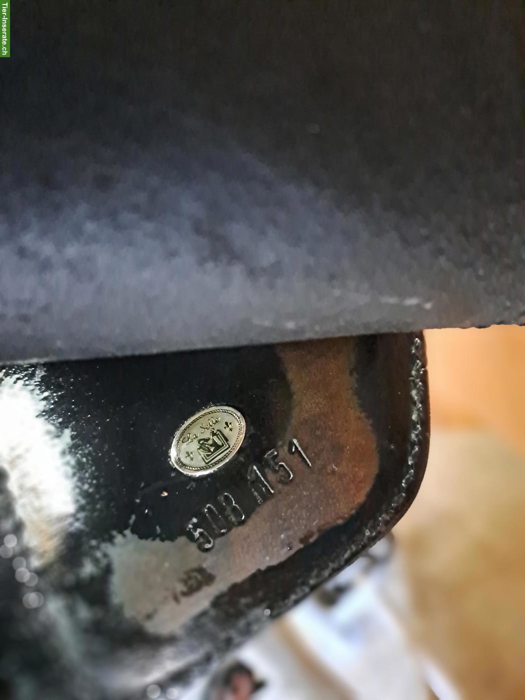Bild 4: Bent Branderup La Selle, Springsattel, Longier- & Voltigiergurt