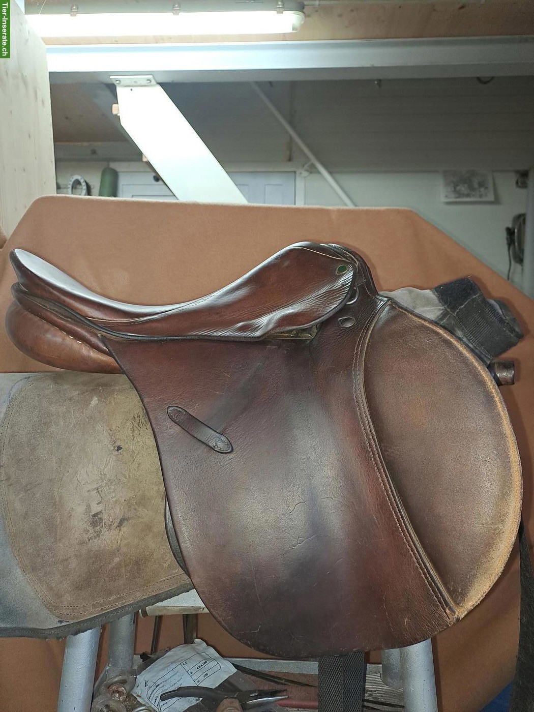 Bild 5: Bent Branderup La Selle, Springsattel, Longier- & Voltigiergurt