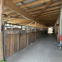 Kompletter Stalltrakt: 7 Paddockboxen am Stück bei Waldshut