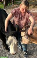 Ich & 2 Rindli suchen neues Zuhause