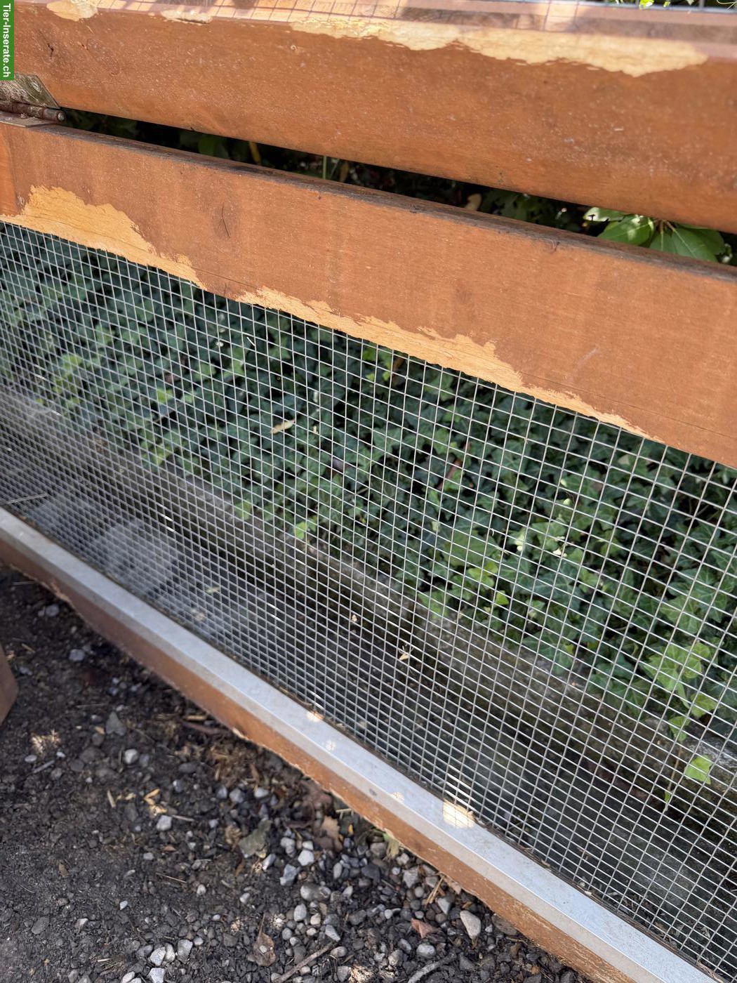 Bild 4: Kleintierstall mit Auslauf vom Schreiner zu verkaufen