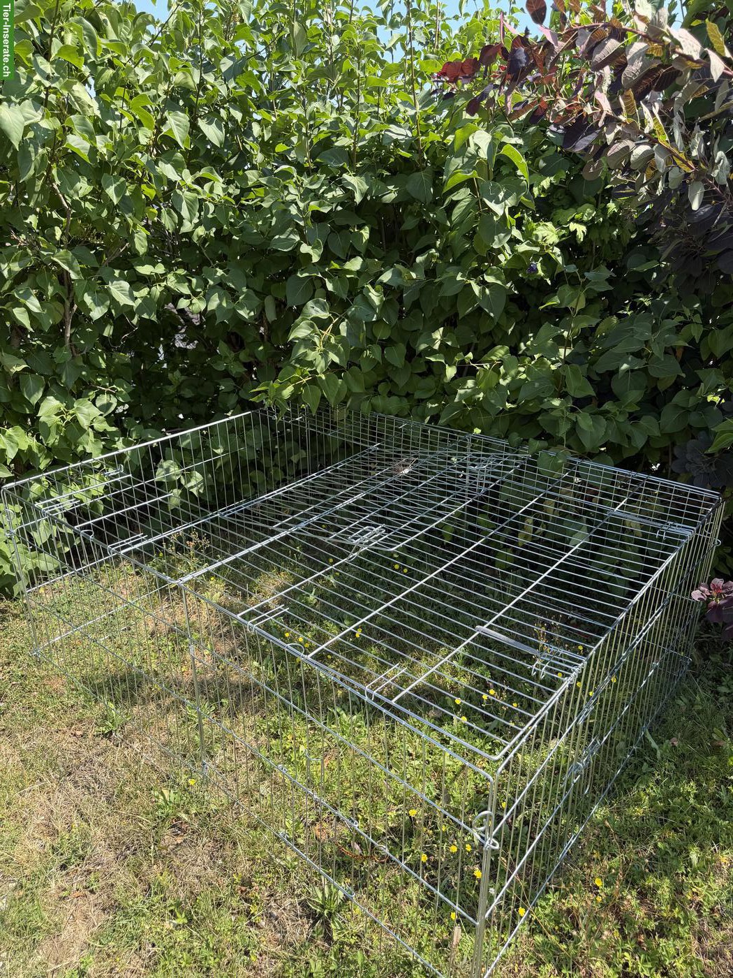 Bild 5: Kleintierstall mit Auslauf vom Schreiner zu verkaufen