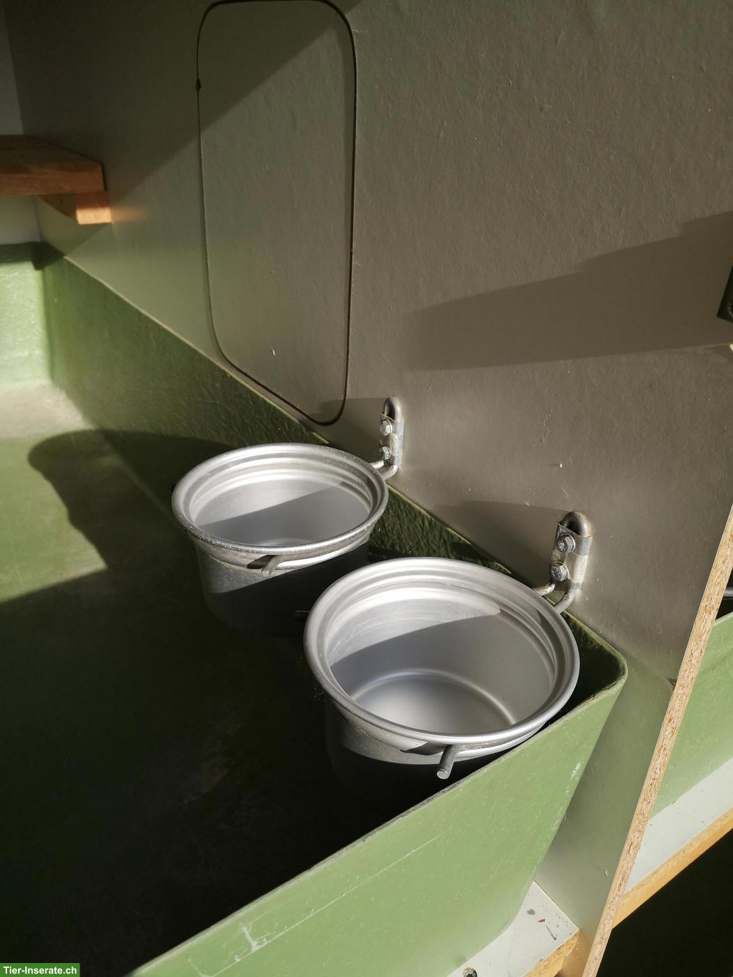Bild 3: Kaninchenstall mit mehreren Boxen zu verkaufen