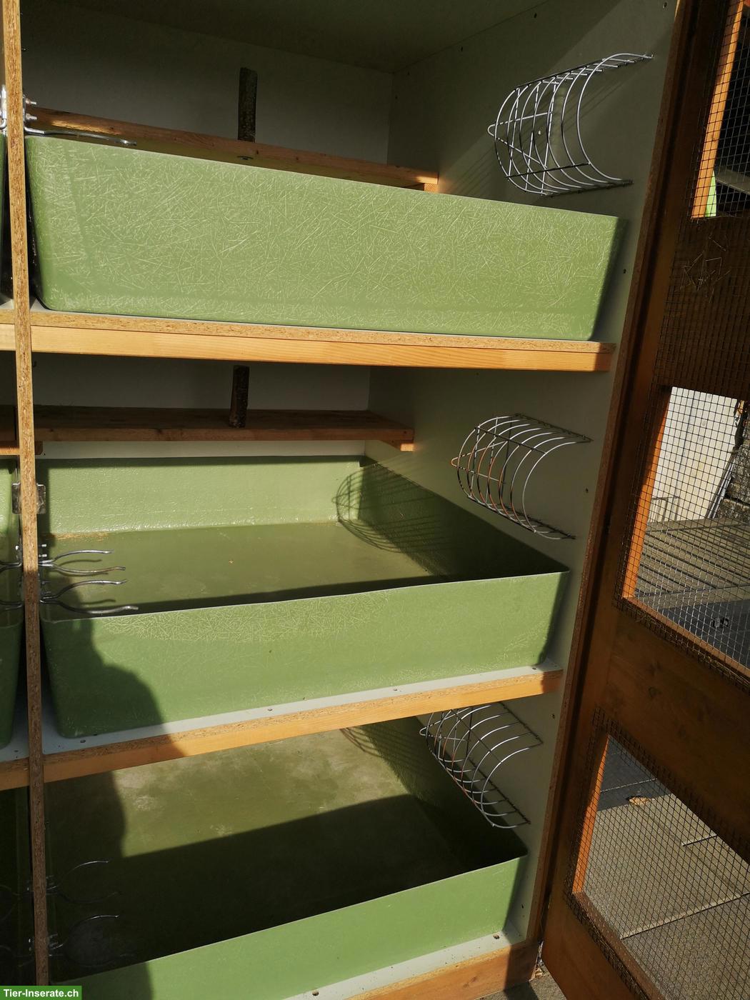Bild 4: Kaninchenstall mit mehreren Boxen zu verkaufen
