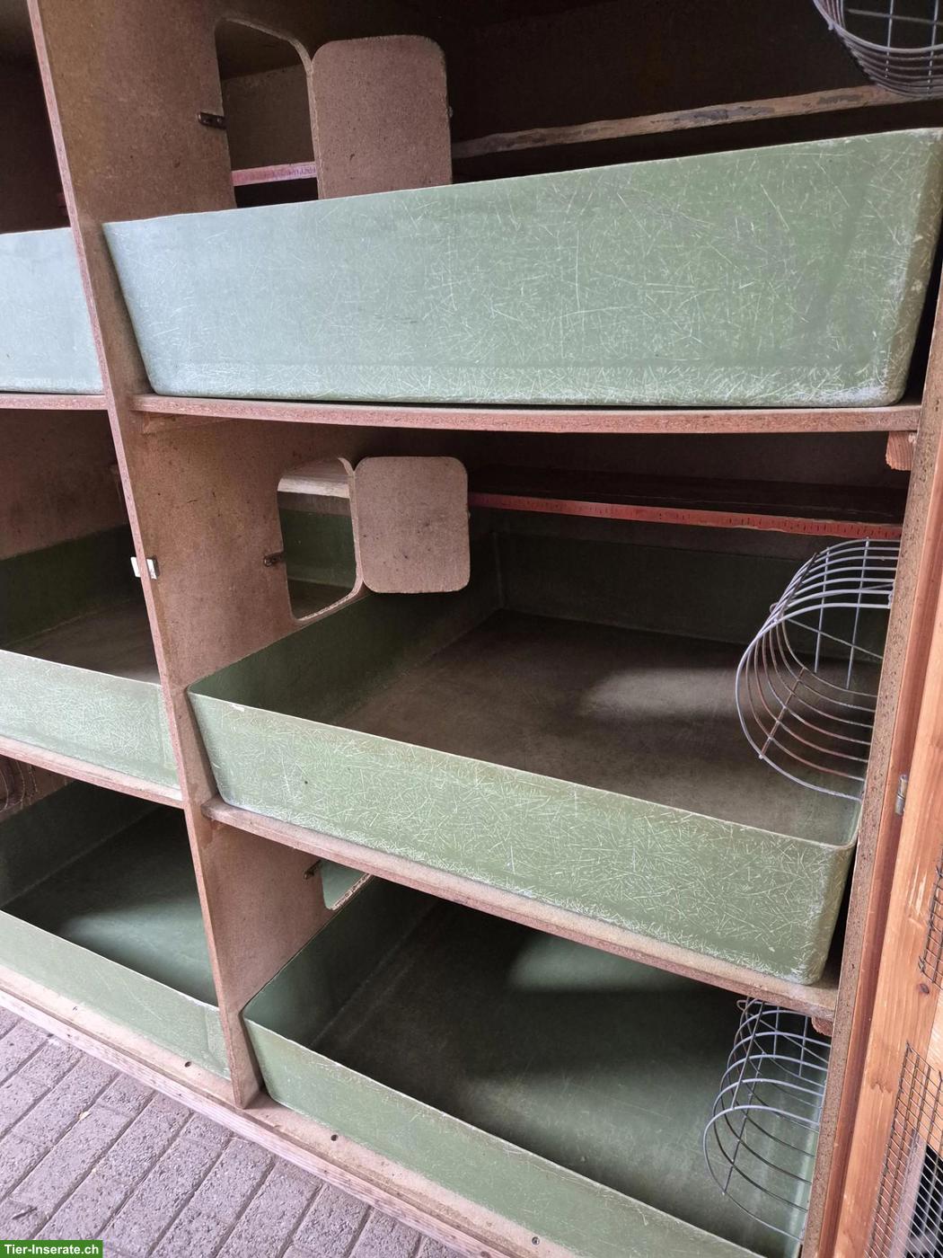 Bild 5: Kaninchenstall mit 6 Boxen zu verkaufen