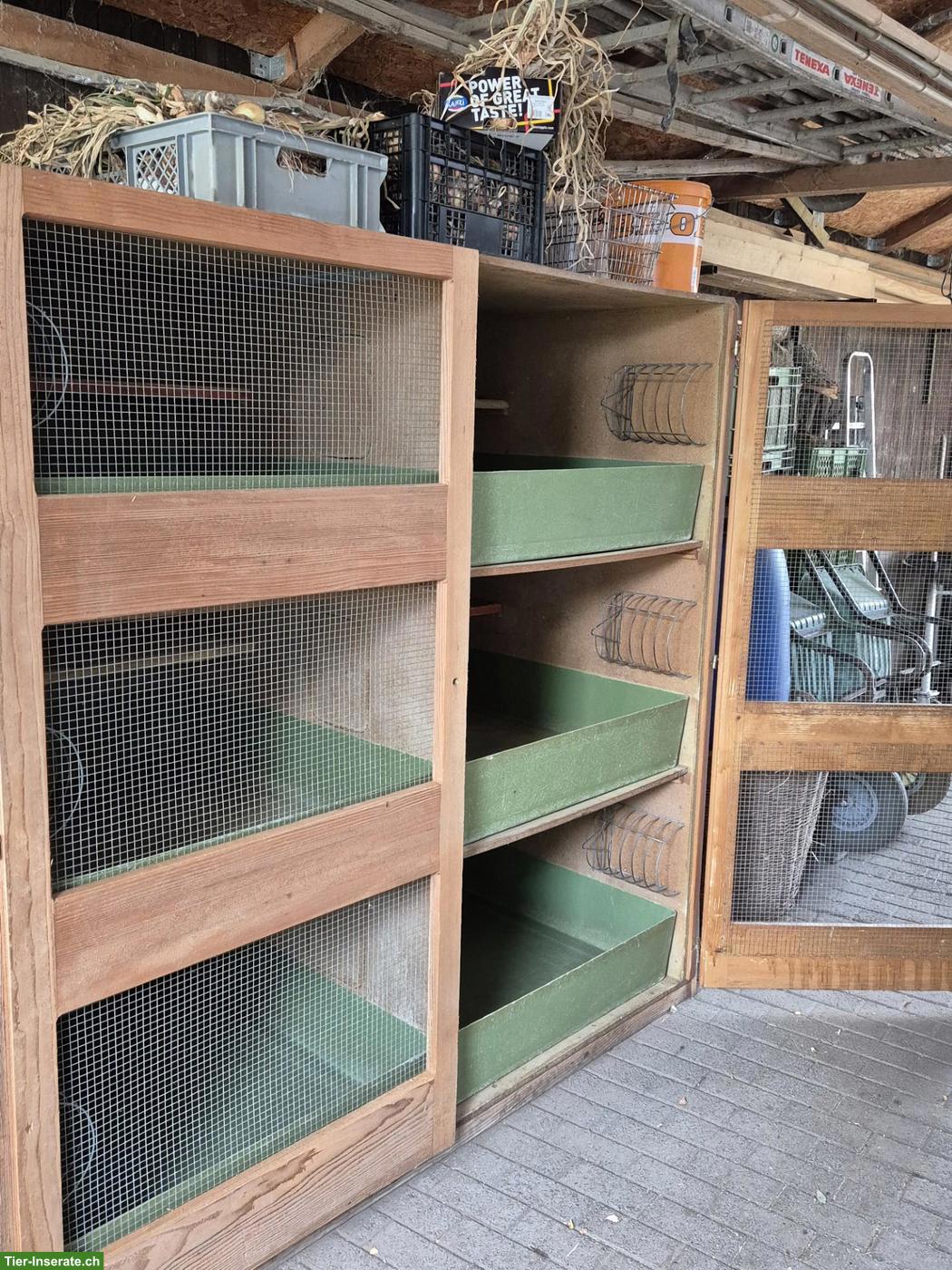 Bild 6: Kaninchenstall mit 6 Boxen zu verkaufen