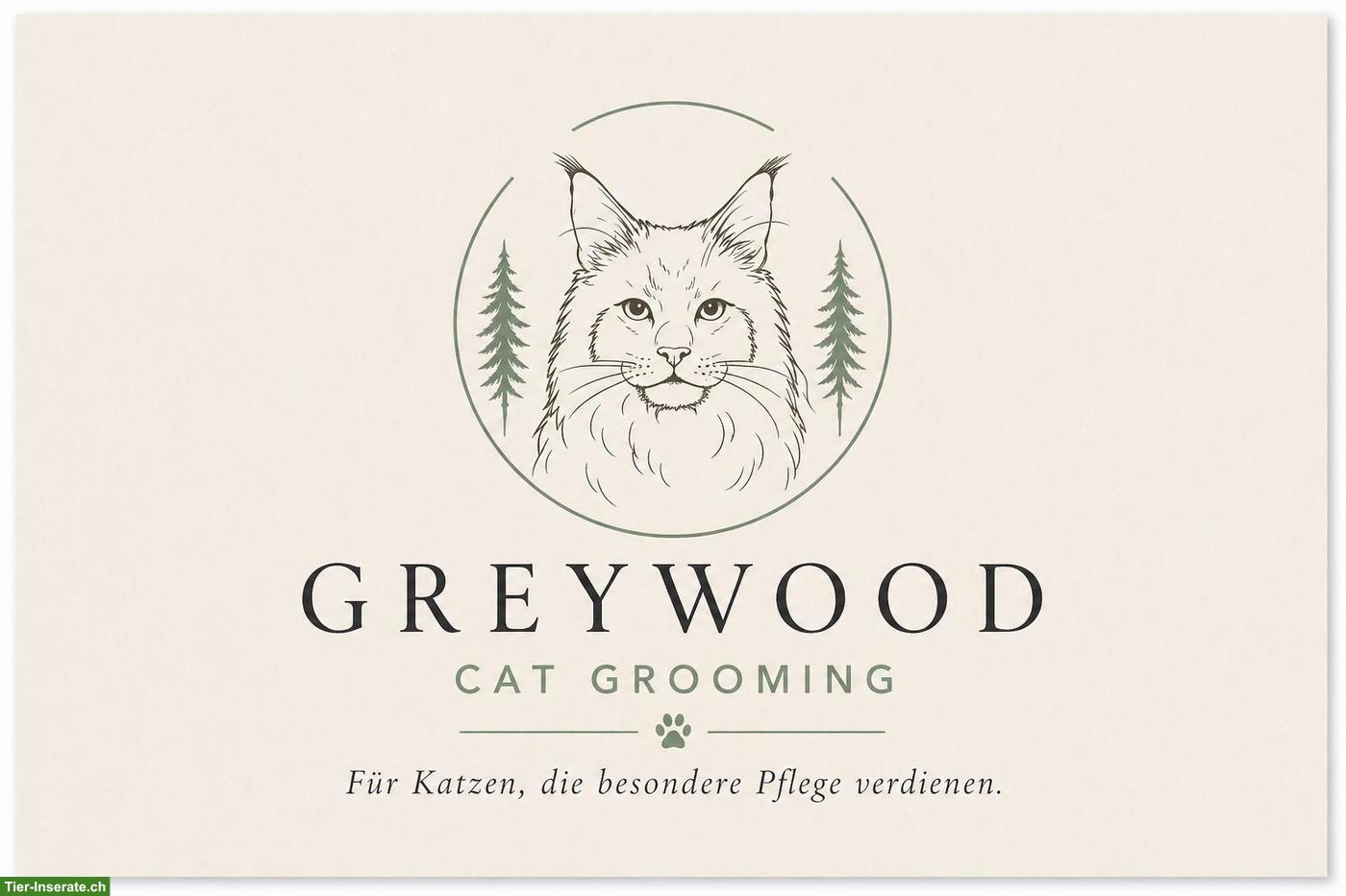 Professionelle Katzenpflege im Emmental - Greywood Cat Grooming