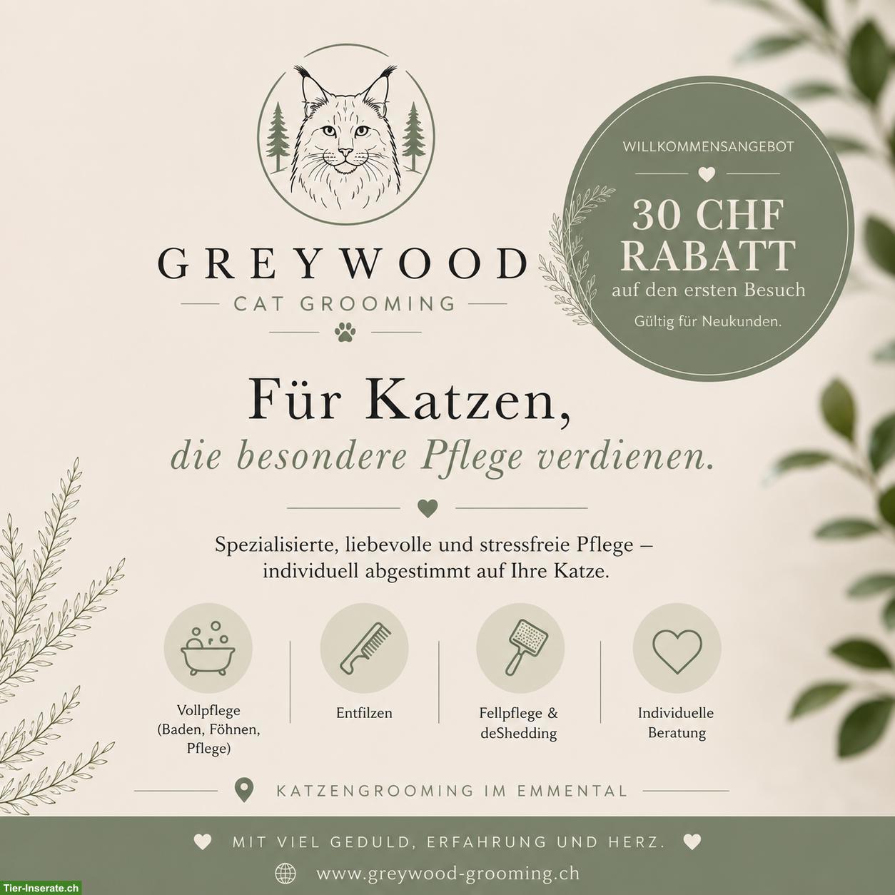 Bild 2: Professionelle Katzenpflege im Emmental - Greywood Cat Grooming