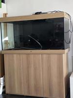 Juwel Aquarium 350L mit 2x LED-Lampen & Aussenfilter