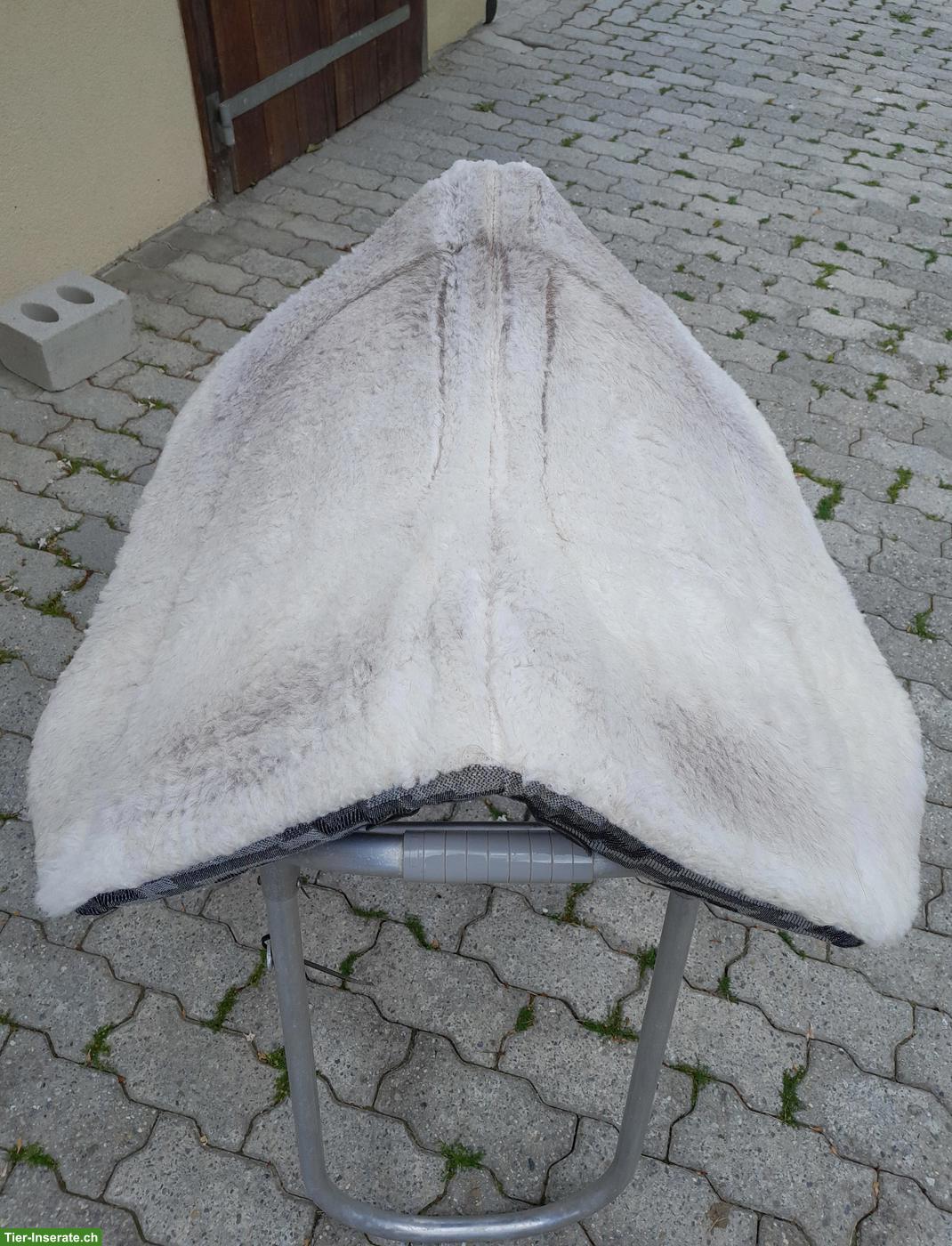 Bild 3: WESTERNPAD Toklat, Western-Zaum, Vorgeschirr & Sattel-Caddy