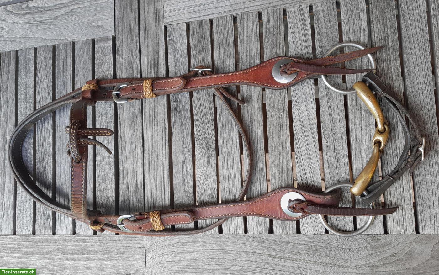 Bild 5: WESTERNPAD Toklat, Western-Zaum, Vorgeschirr & Sattel-Caddy