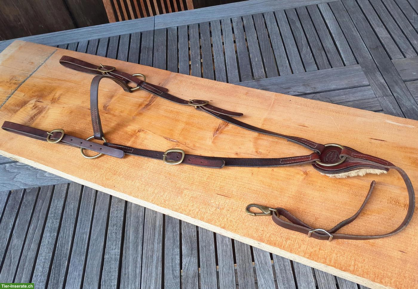Bild 7: WESTERNPAD Toklat, Western-Zaum, Vorgeschirr & Sattel-Caddy