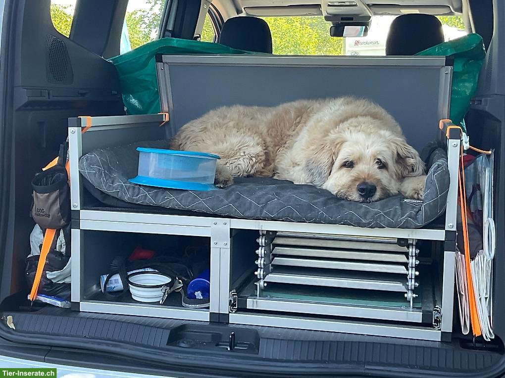 Bild 2: Hundebox, Hundetreppe, Einstiegshilfe für grössere Hunde