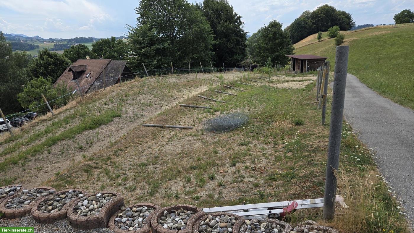 Auslaufbox in Mamishaus BE zu vermieten