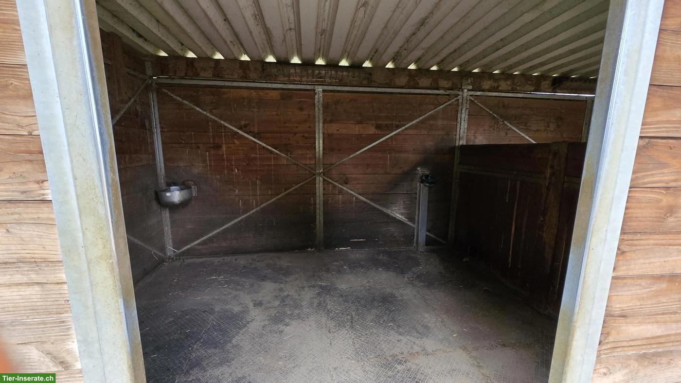 Bild 3: Auslaufbox in Mamishaus BE zu vermieten