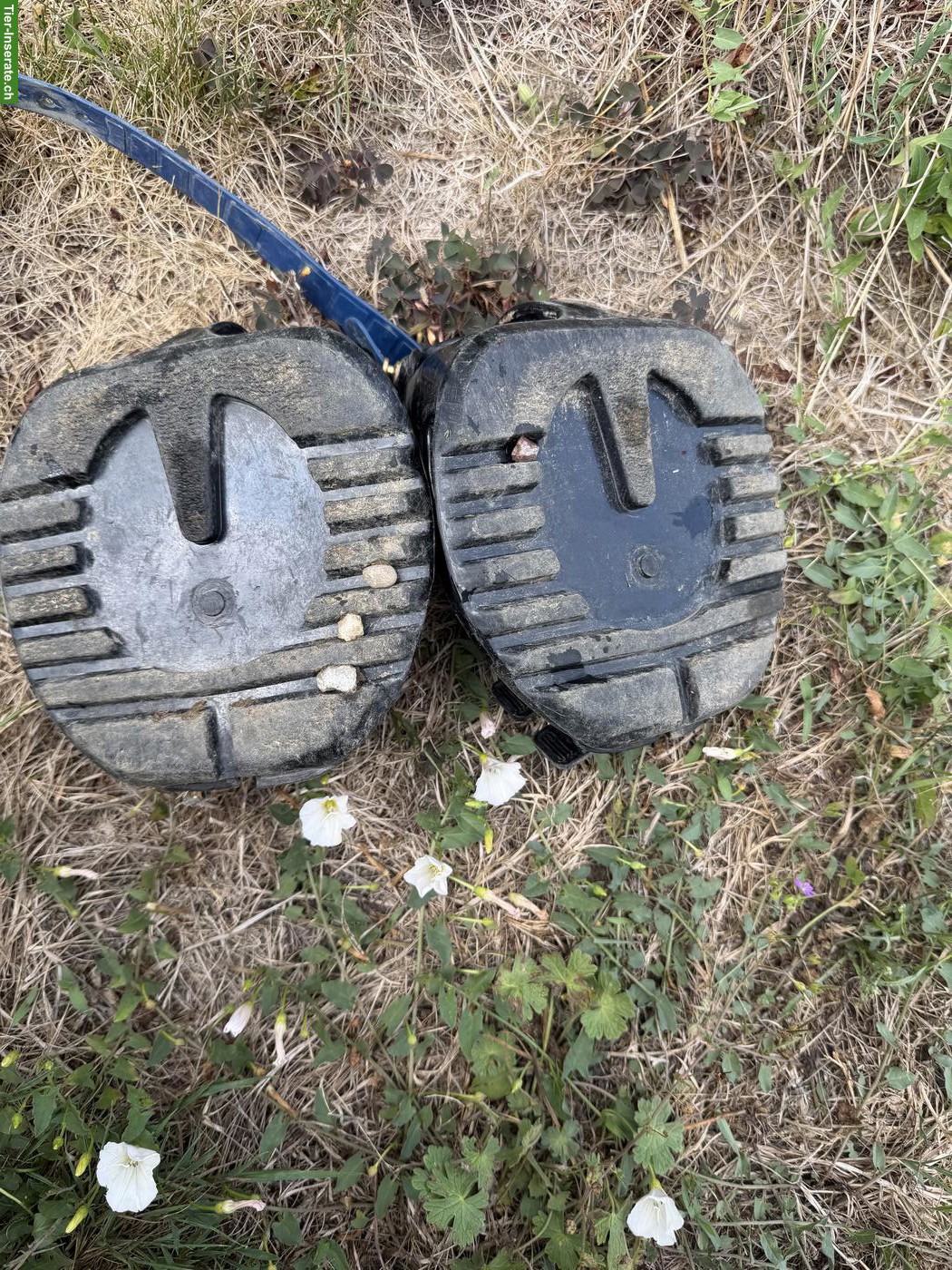 Bild 2: Hufschuhe zu verkaufen: Scoot Boots, Easy Boots Trail, New Mac