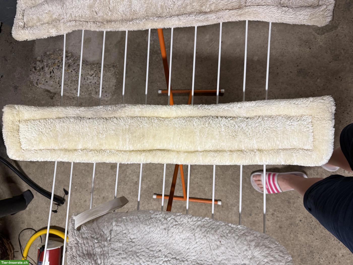 Bild 3: Verschiedene Kurzgurte zu verkaufen, 60 & 70 cm