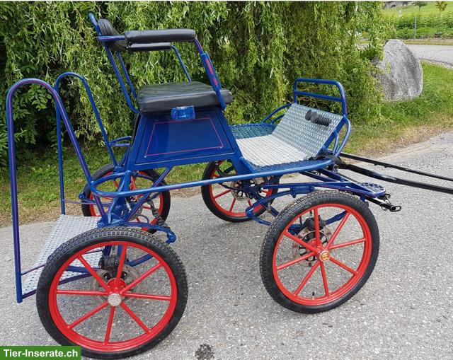 SW Einspänner-Kutsche für Welsh Mountain Pony zu verkaufen