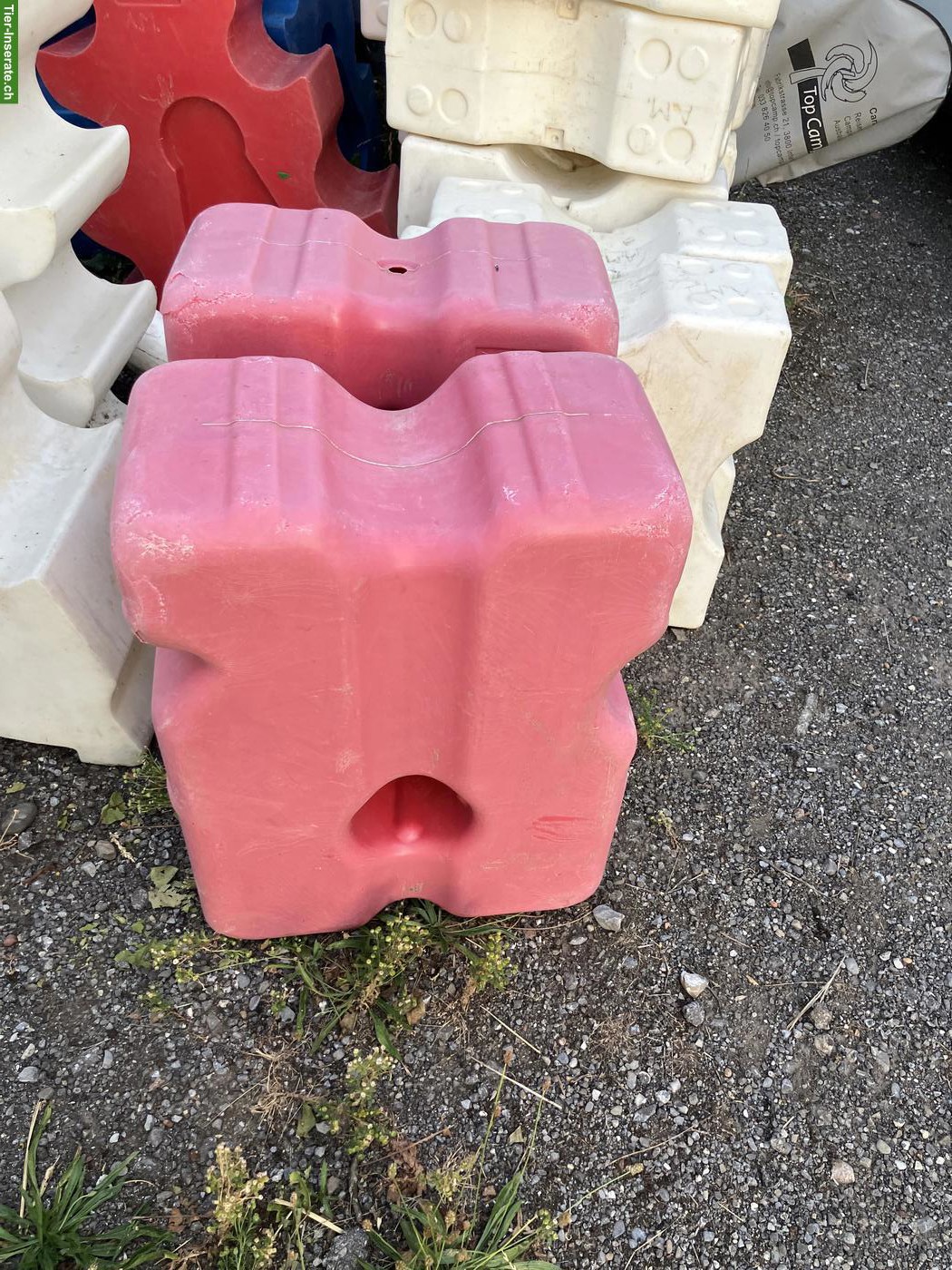 Bild 4: Gebrauchtes Hindernismaterial zu verkaufen