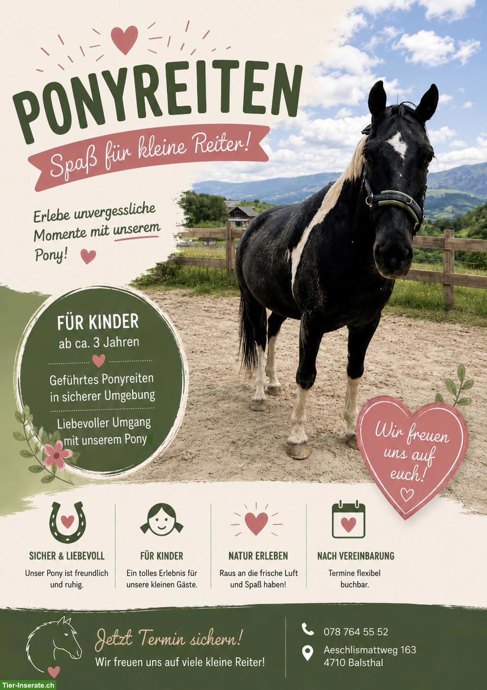 Ponyreiten für Kinder in Balsthal