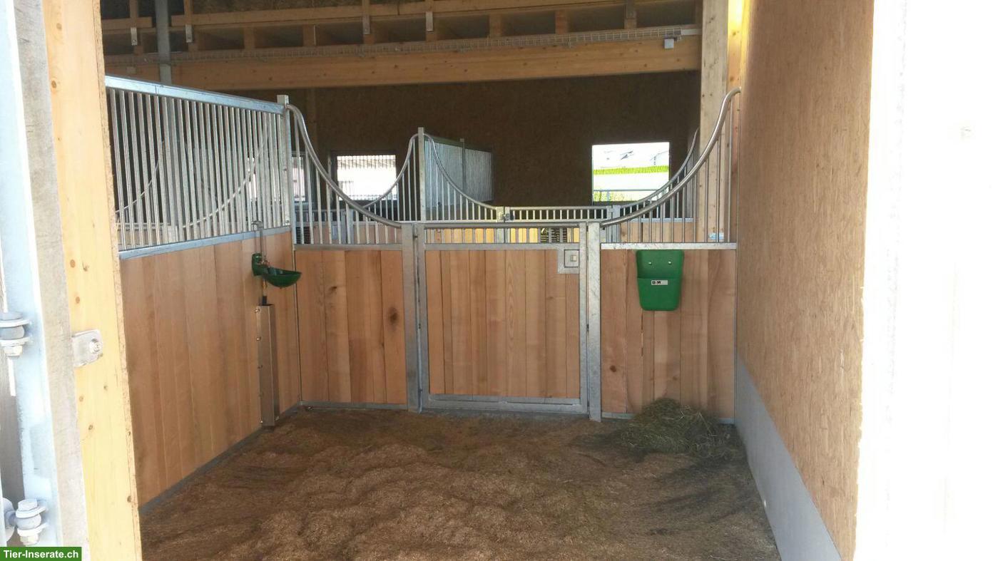 Bild 4: 1-2 Auslaufboxen zu vermieten in Eich LU