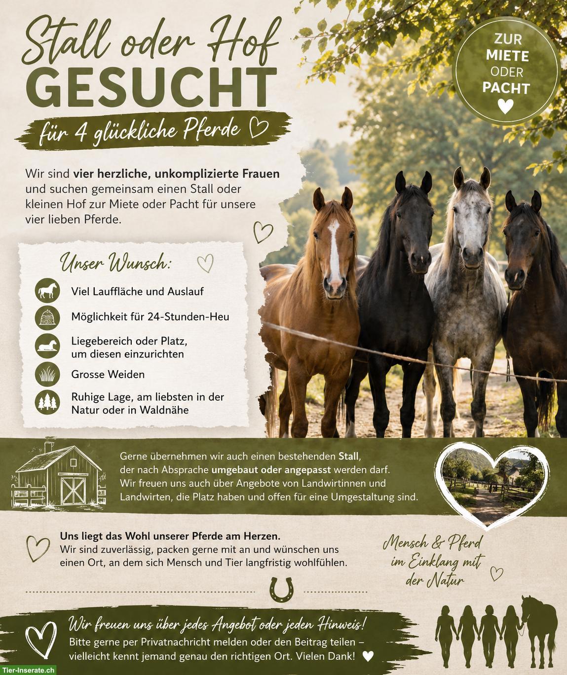 Stall oder Hof gesucht zur Pacht oder Miete für 4 liebe Pferde 🐴❤️