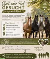 Stall oder Hof gesucht zur Pacht oder Miete für 4 liebe Pferde 🐴❤️