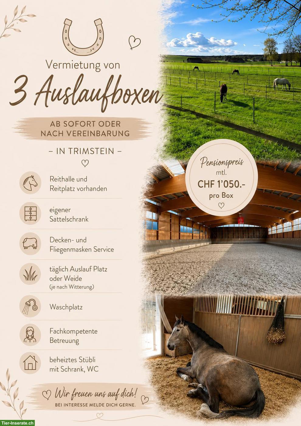 Auslaufboxen zu vermieten in Trimstein