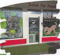Die Experten für Familien- & Kleinhunde in Schwerzenbach