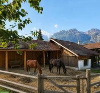 Pferdeliegenschaft mit Bauland - Ihr Zuhause für Mensch & Pferd