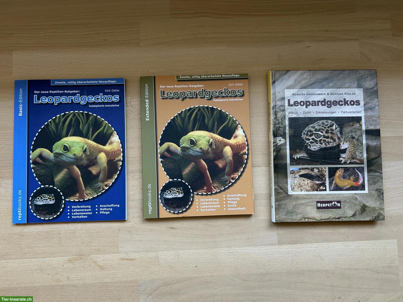Bild 10: 2 Leopardgeckos mit komplett eingerichtetem Terrarium