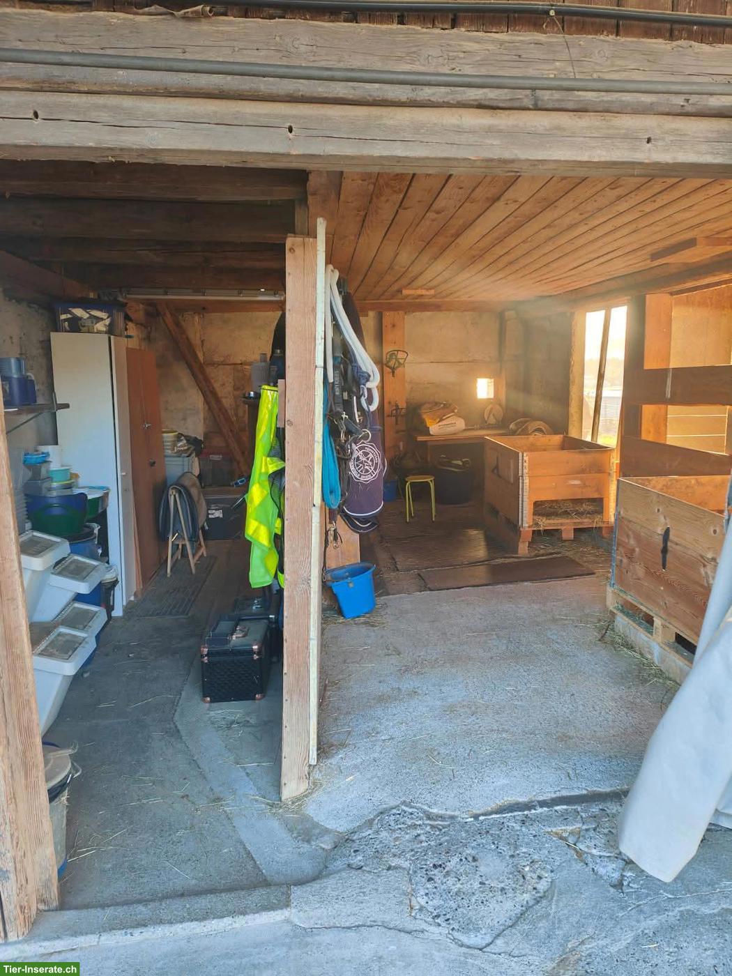 Bild 4: Freie Doppel-Auslaufbox in Emmen LU