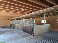 Innenboxen in Privatstall in 78176 Blumberg (CH-Grenze)