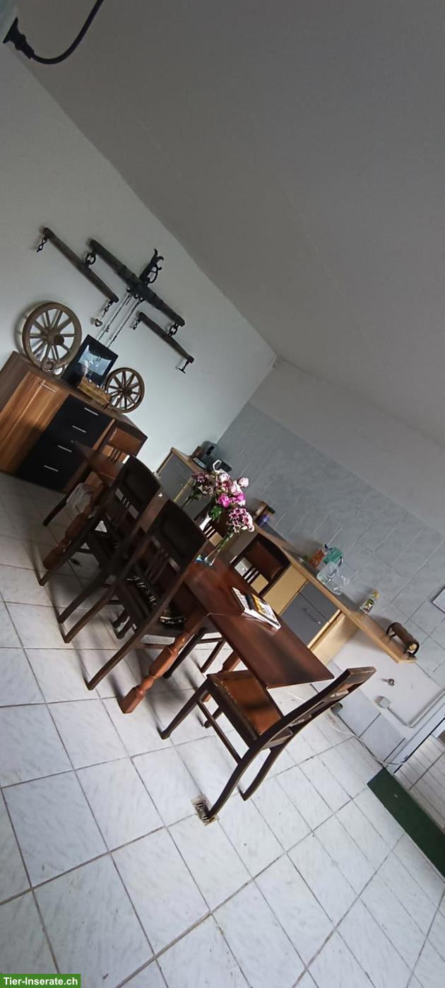 Bild 5: Innenboxen in Privatstall in 78176 Blumberg (CH-Grenze)